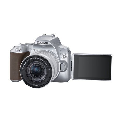 Canon EOS | 250D | Obiektyw EF-S 18-55mm IS STM | Brązowy | Srebrny - 2